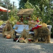 Dożynki 2019