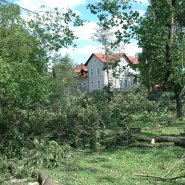 Szmer łagodnego powiewu