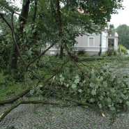 Szmer łagodnego powiewu