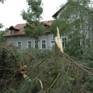 Szmer łagodnego powiewu