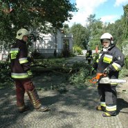 Szmer łagodnego powiewu