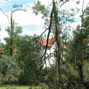 Szmer łagodnego powiewu