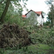 Szmer łagodnego powiewu