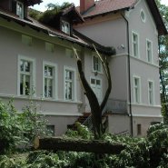 Szmer łagodnego powiewu