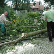 Szmer łagodnego powiewu