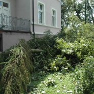 Szmer łagodnego powiewu