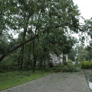 Szmer łagodnego powiewu