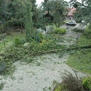 Szmer łagodnego powiewu