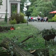 Szmer łagodnego powiewu