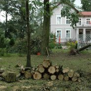 Wielkie sprzątanie trwa