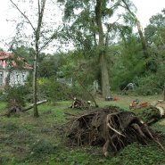 Wielkie sprzątanie trwa
